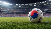 Football with South Korea colors
